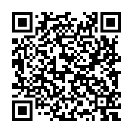 QR code for VPL913