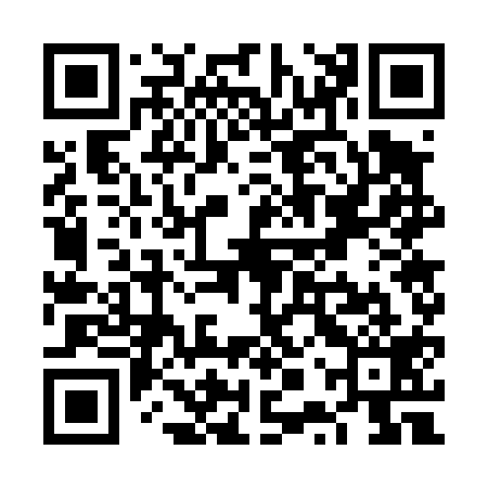 QR code for VPW419
