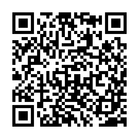 QR code for VQI383