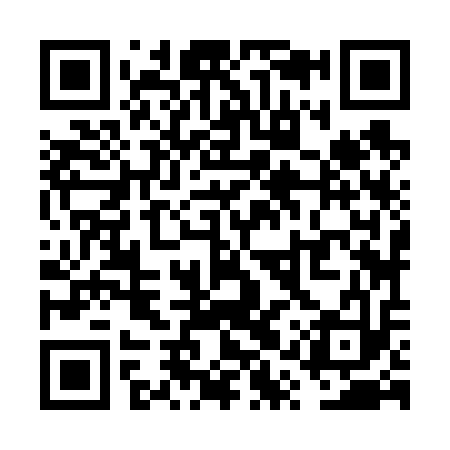 QR code for VQZ613