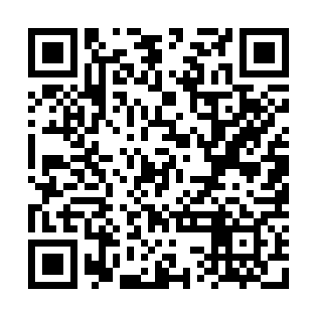 QR code for VSE369