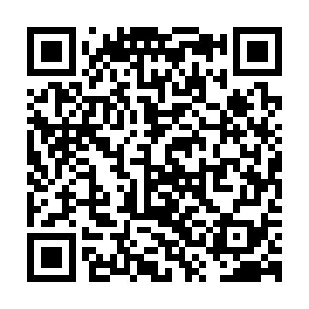 QR code for VSE379