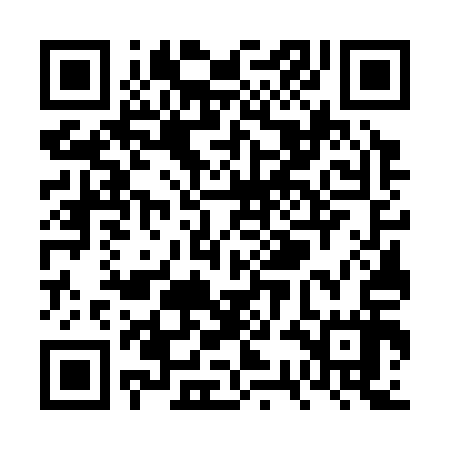 QR code for VSG317