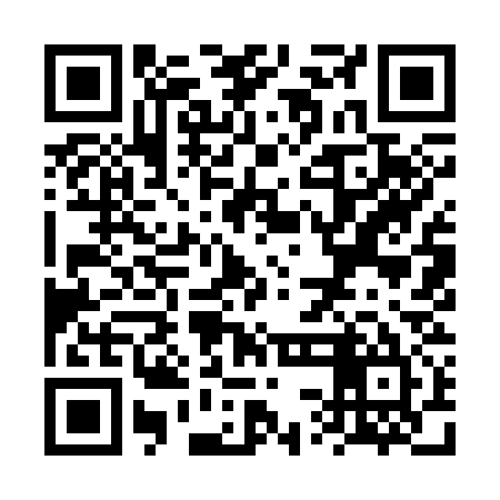 QR code for VSI335