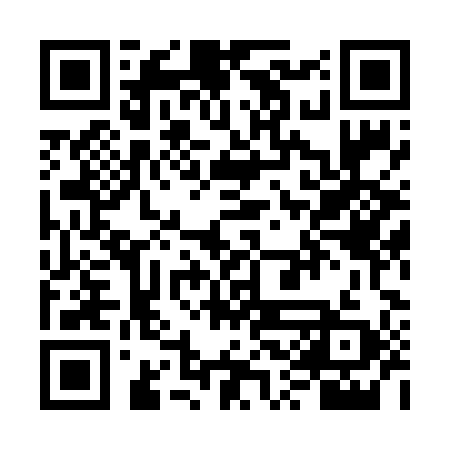 QR code for VSL699