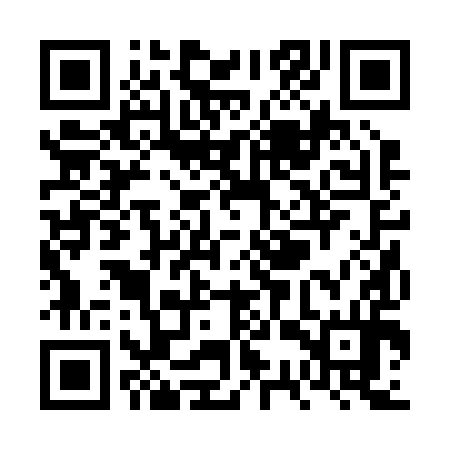 QR code for VSR294