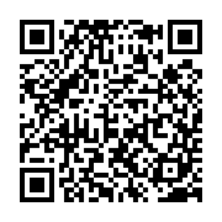 QR code for VSS541
