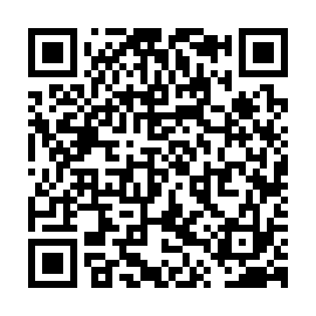QR code for VTV333