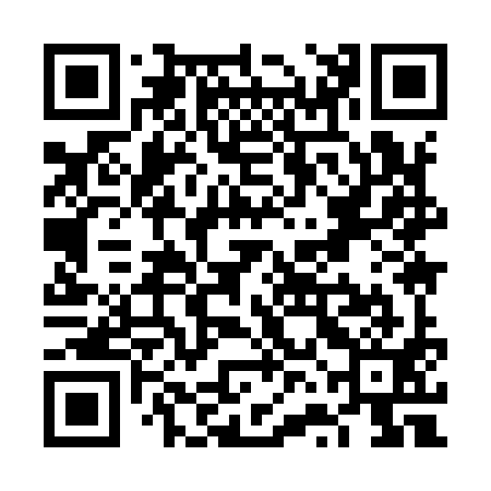 QR code for VVI991