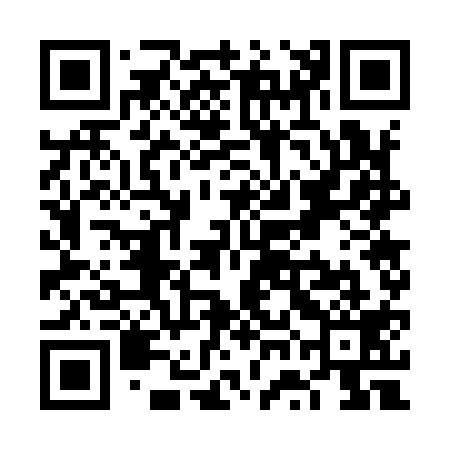 QR code for VWG919