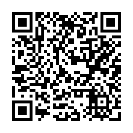 QR code for VWS384