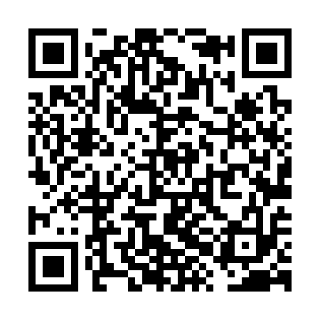 QR code for VXL313