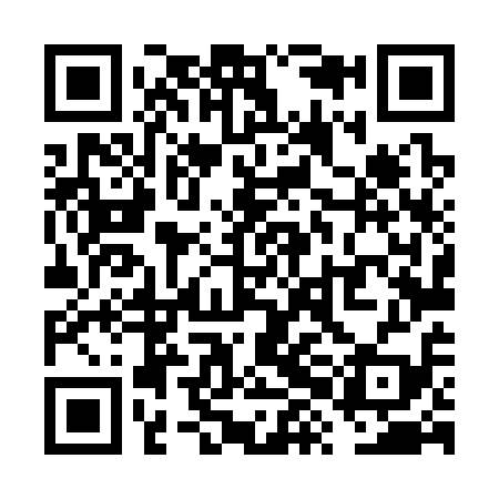 QR code for VXL319