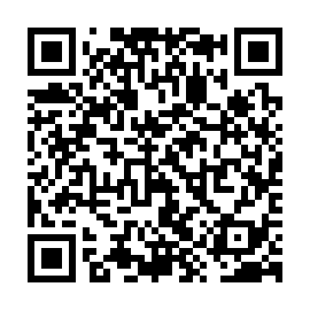 QR code for VYS339