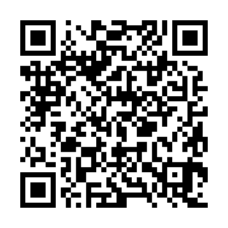 QR code for VYS881