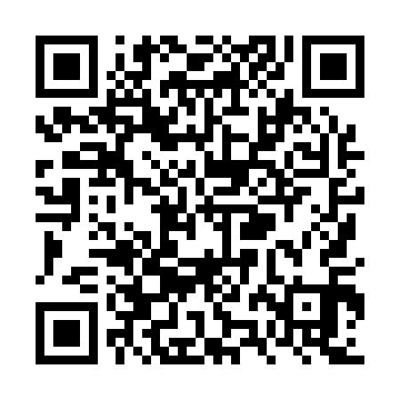 QR code for VZH111