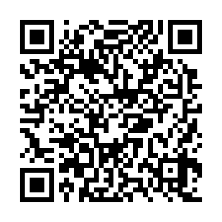 QR code for VZJ338