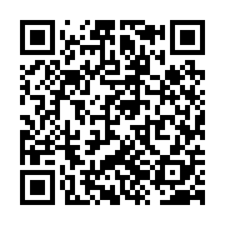 QR code for VZM208