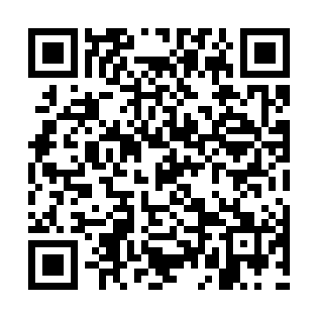 QR code for WDL381