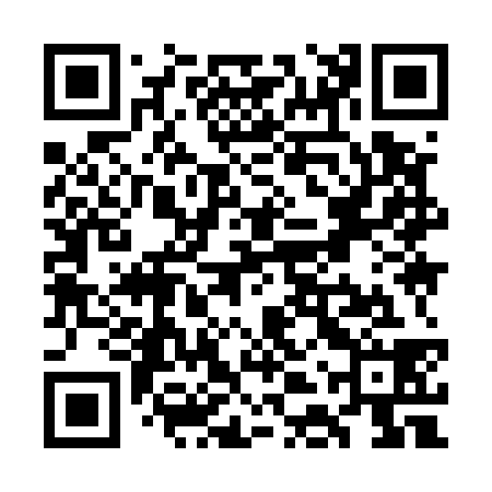 QR code for WDY538