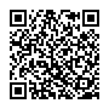 QR code for WFG029