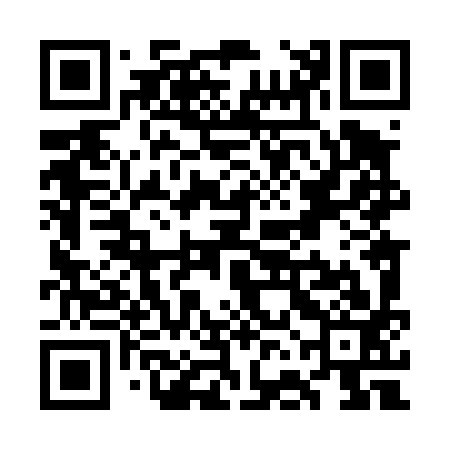 QR code for WFL493