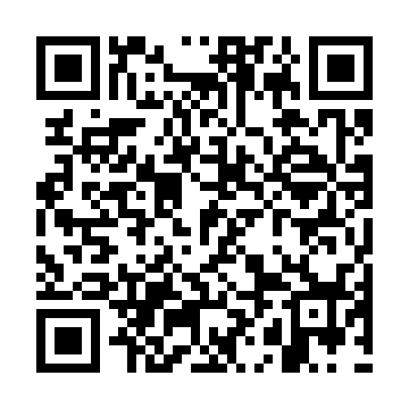 QR code for WHO338