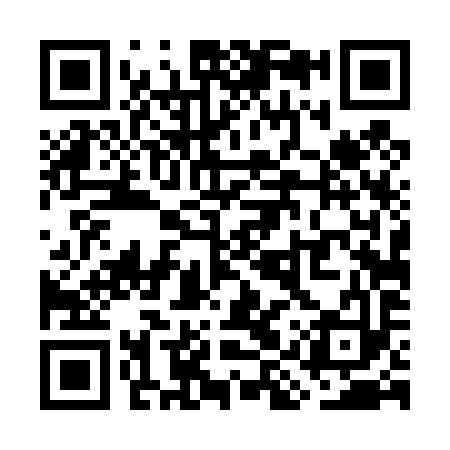 QR code for WIT493