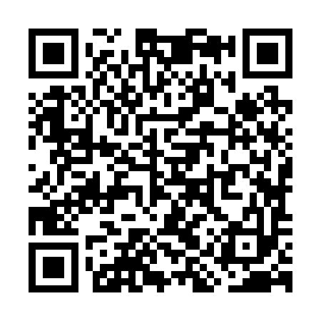 QR code for WIZ293