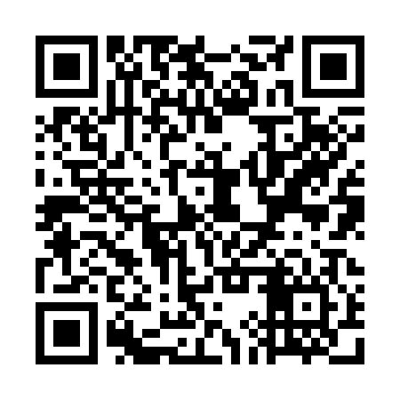 QR code for WIZ306