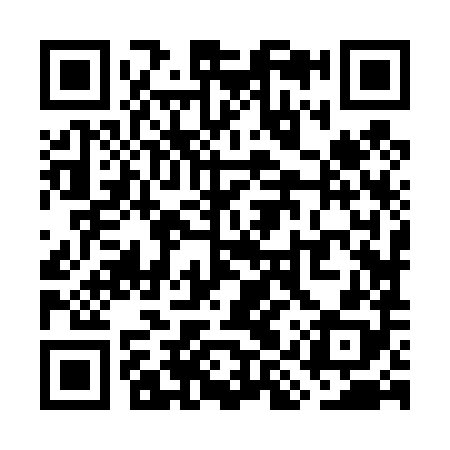 QR code for WIZ488