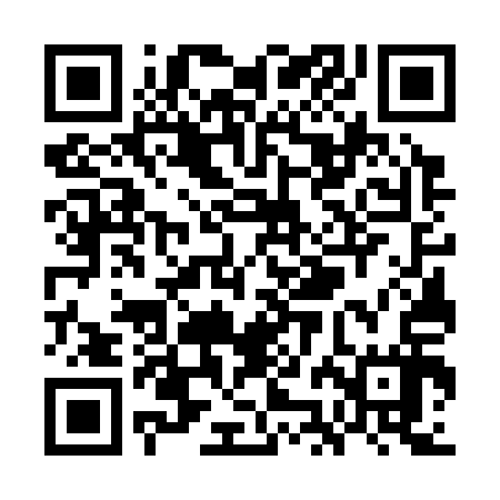 QR code for WJG317