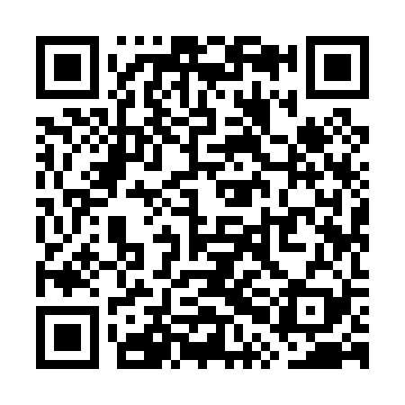 QR code for WPI029