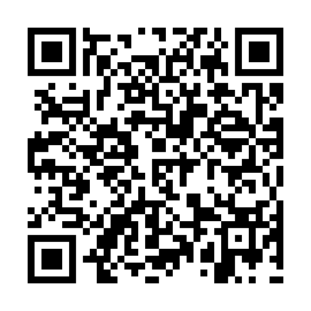 QR code for WPM333