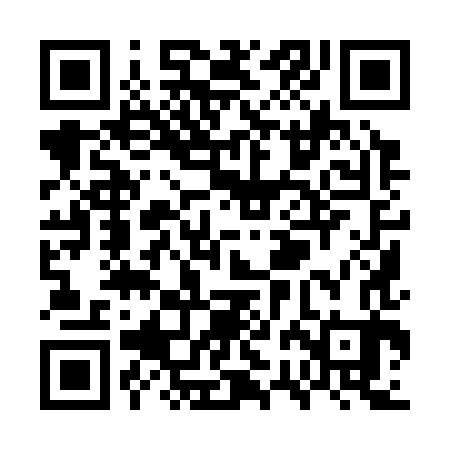 QR code for WRI383