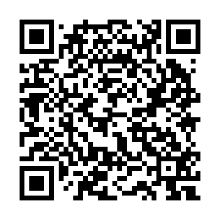 QR code for WSI213