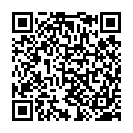 QR code for WSI617