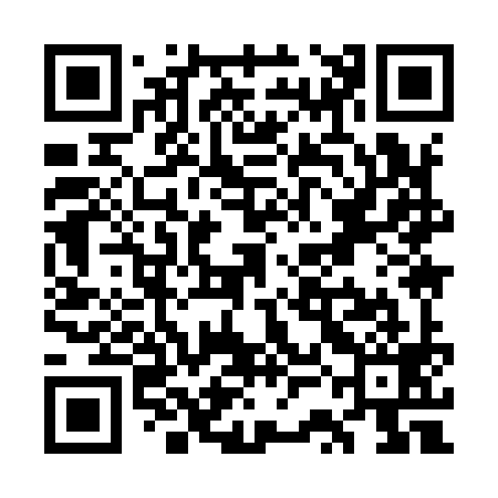 QR code for WSI999