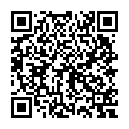 QR code for WSY611