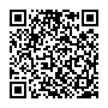 QR code for WYJ533