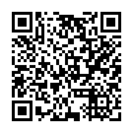 QR code for WYL386