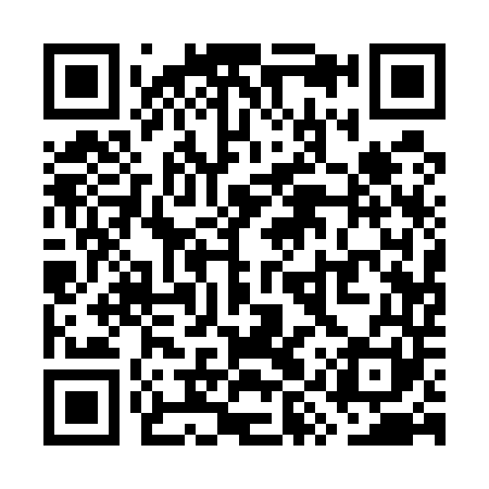 QR code for WYQ541