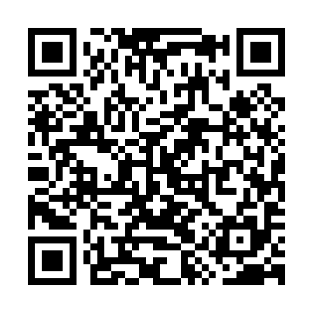 QR code for WYU095