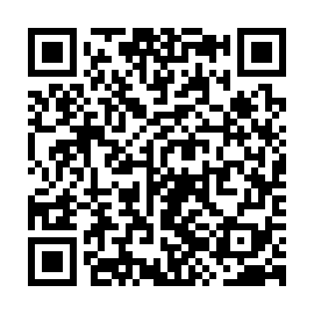 QR code for WZC379