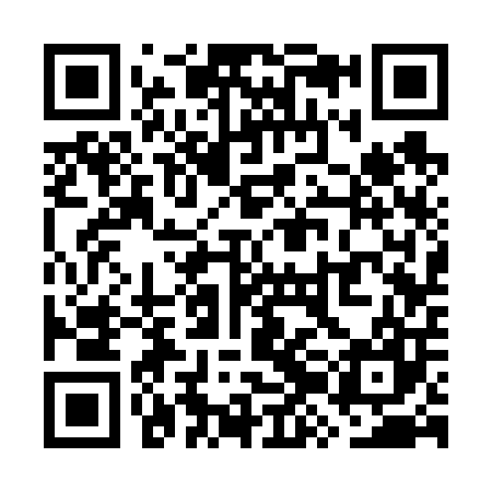 QR code for WZC607