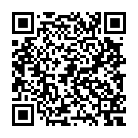 QR code for WZL013