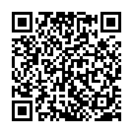 QR code for WZO991