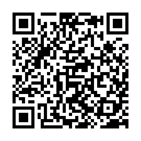 QR code for WZQ989