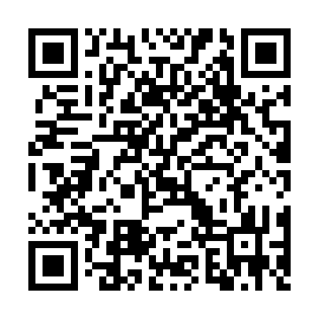 QR code for WZX533
