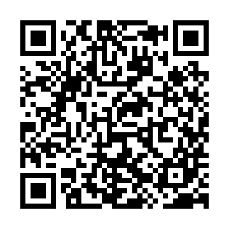 QR code for WZY287